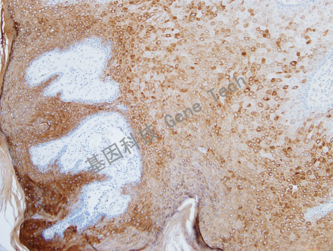 1622887137770635.jpg 1622887137770635.jpg