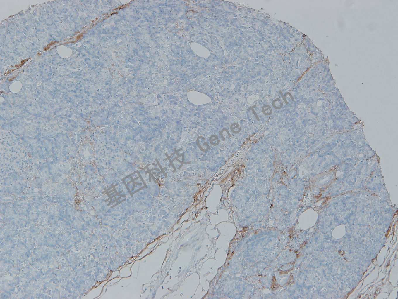 1625809573822809.jpg 1625809573822809.jpg