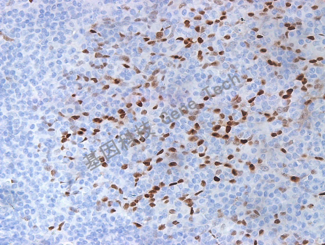 1625911765841724.jpg 1625911765841724.jpg