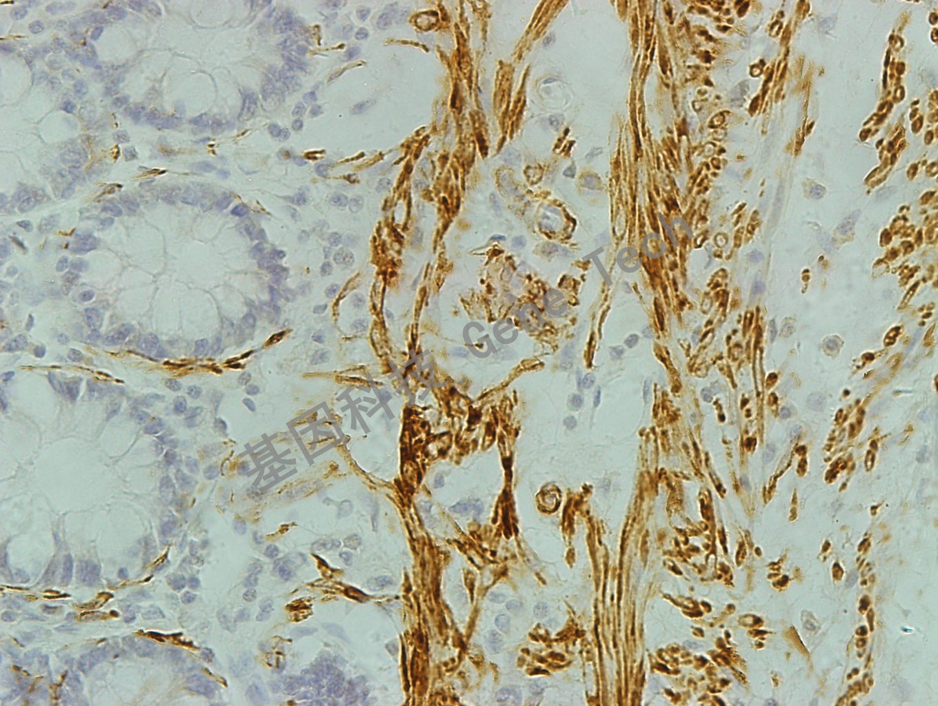 1625971278151928.jpg 1625971278151928.jpg