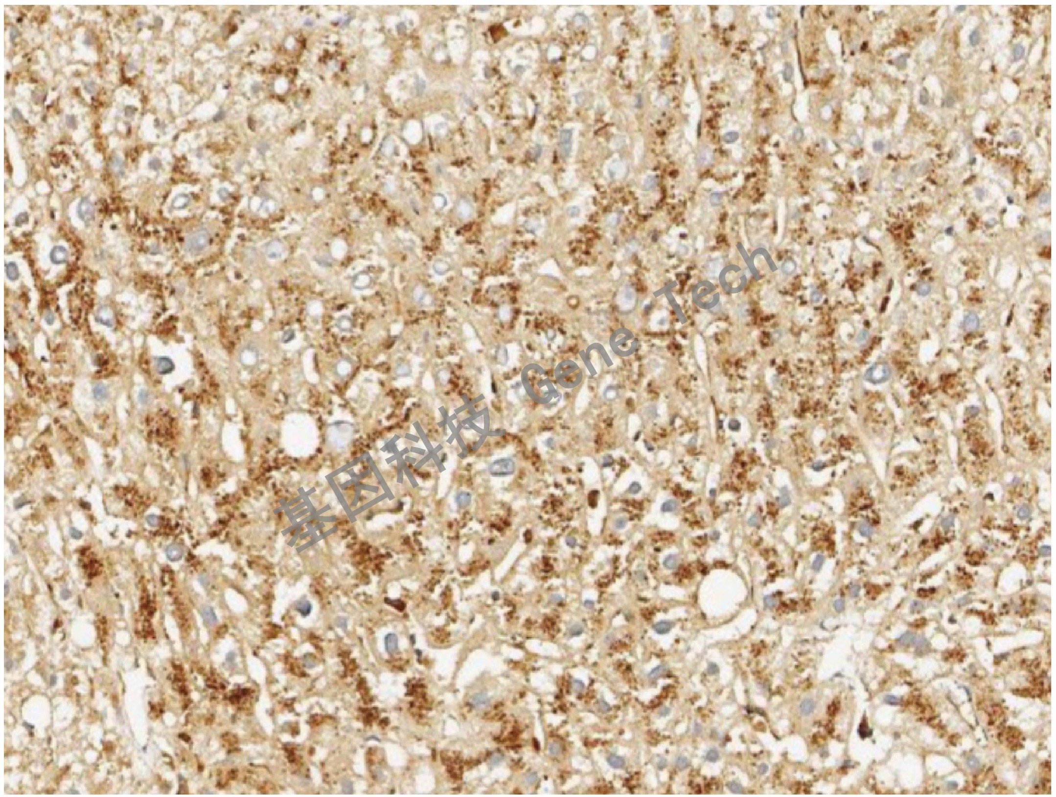 1668408783682043.jpg 1668408783682043.jpg