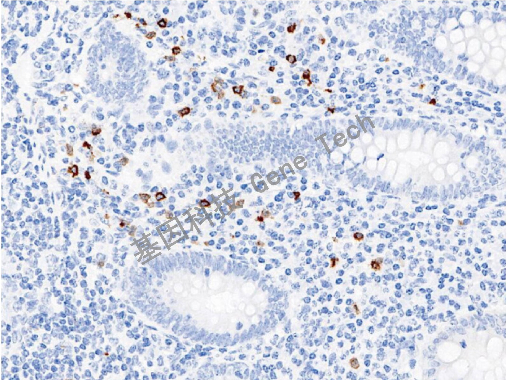 1668409819128259.jpg 1668409819128259.jpg