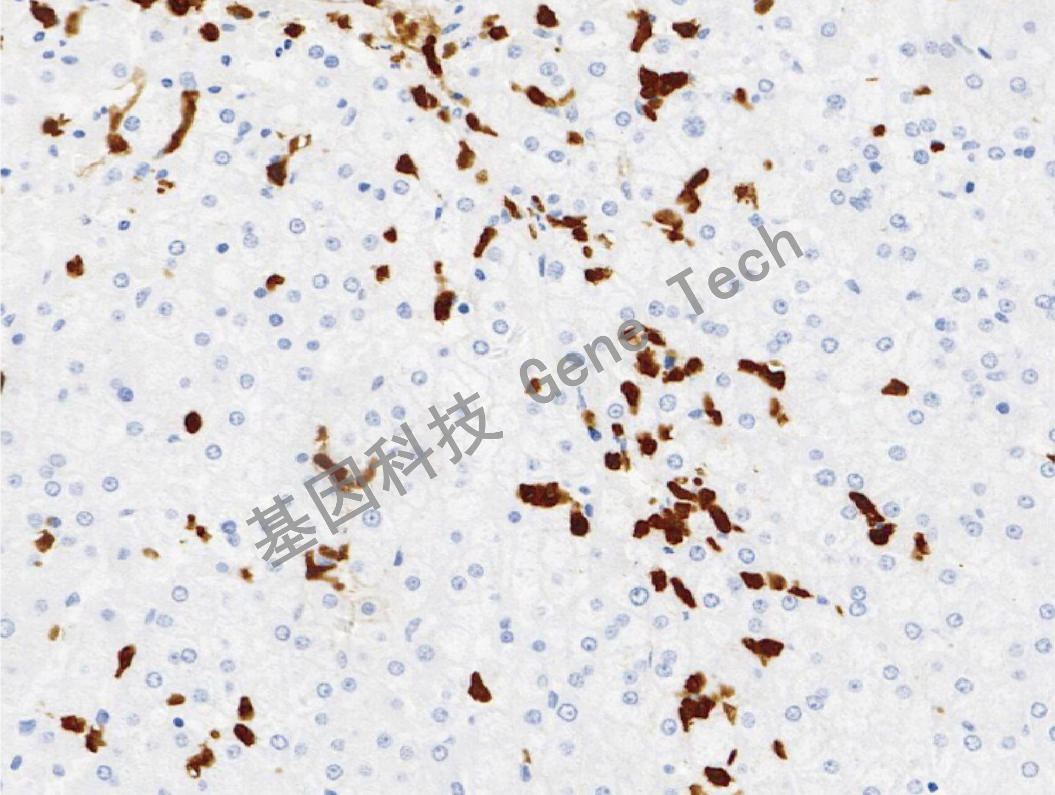 1668495995206909.jpg 1668495995206909.jpg