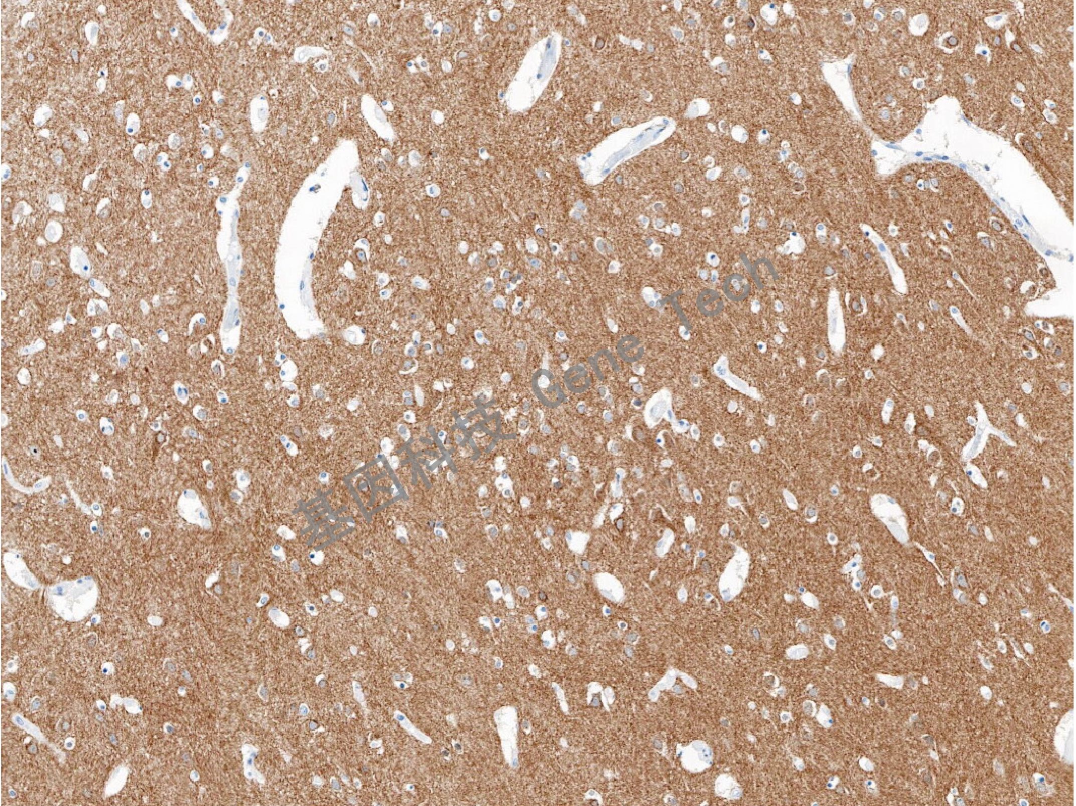 1668565215459296.jpg 1668565215459296.jpg