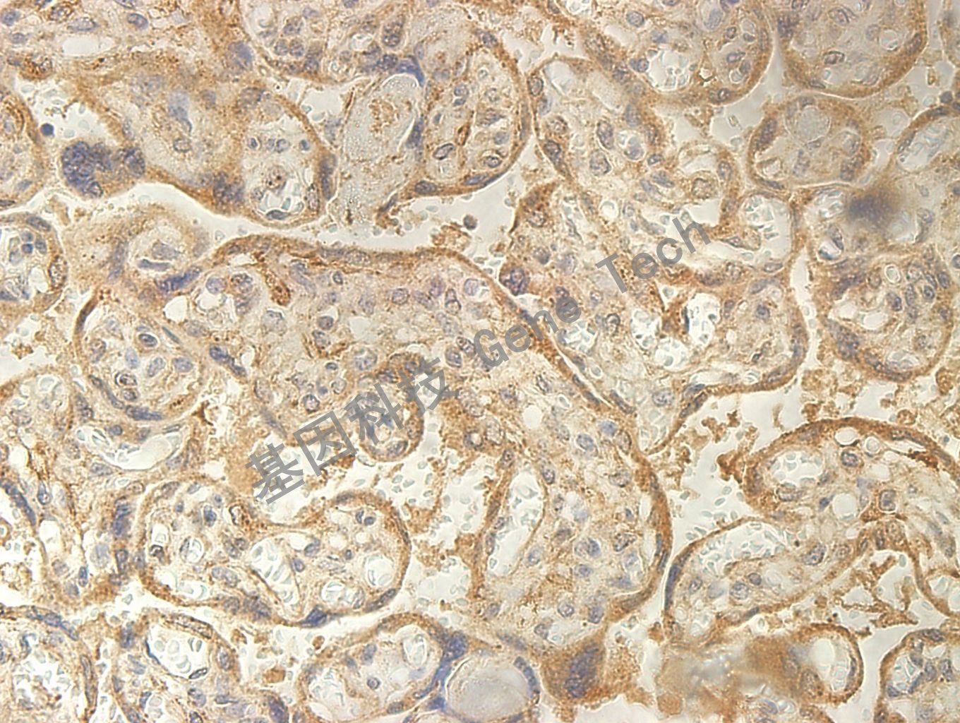 1668568359760783.jpg 1668568359760783.jpg