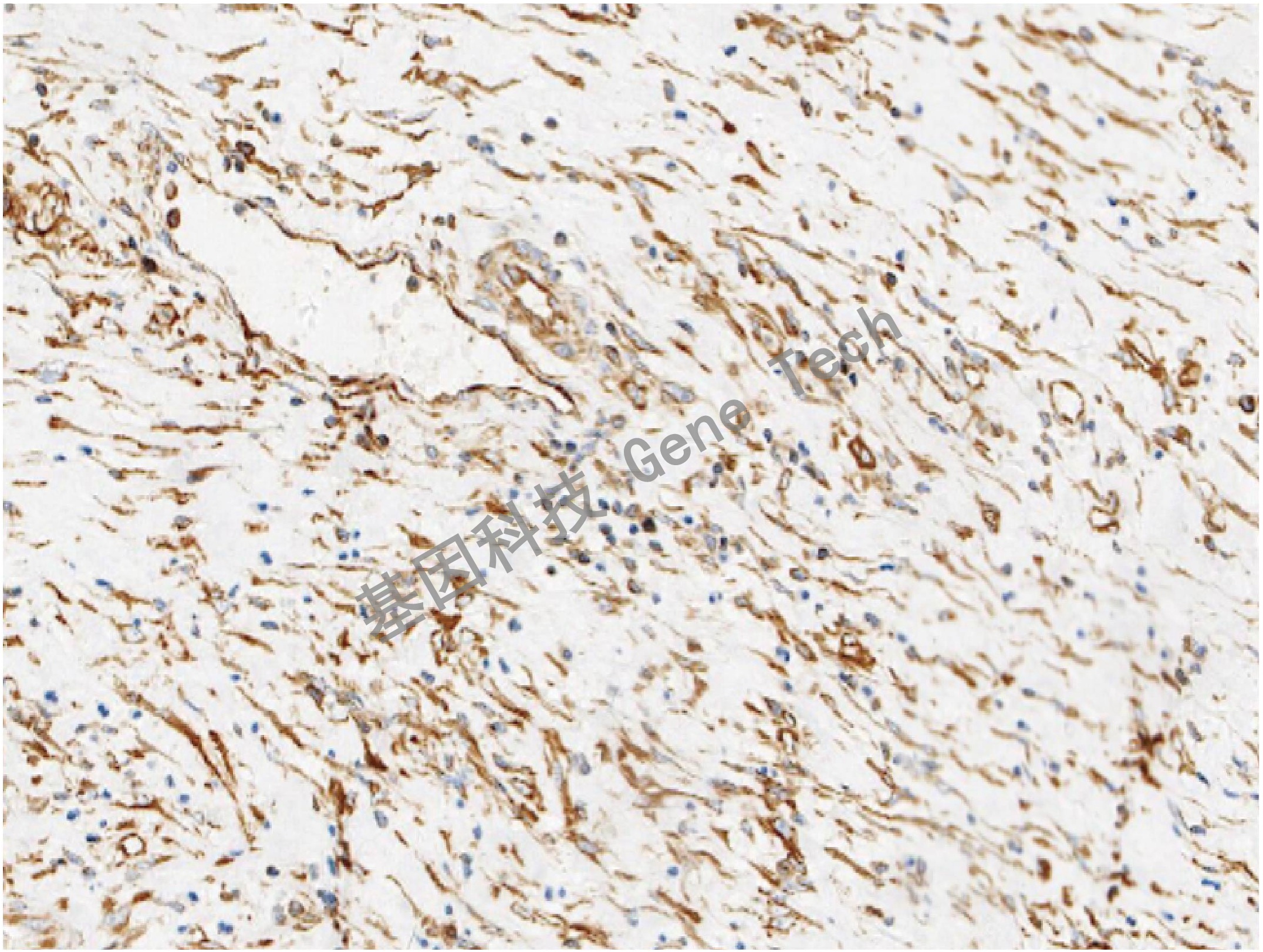 1668578120767815.jpg 1668578120767815.jpg