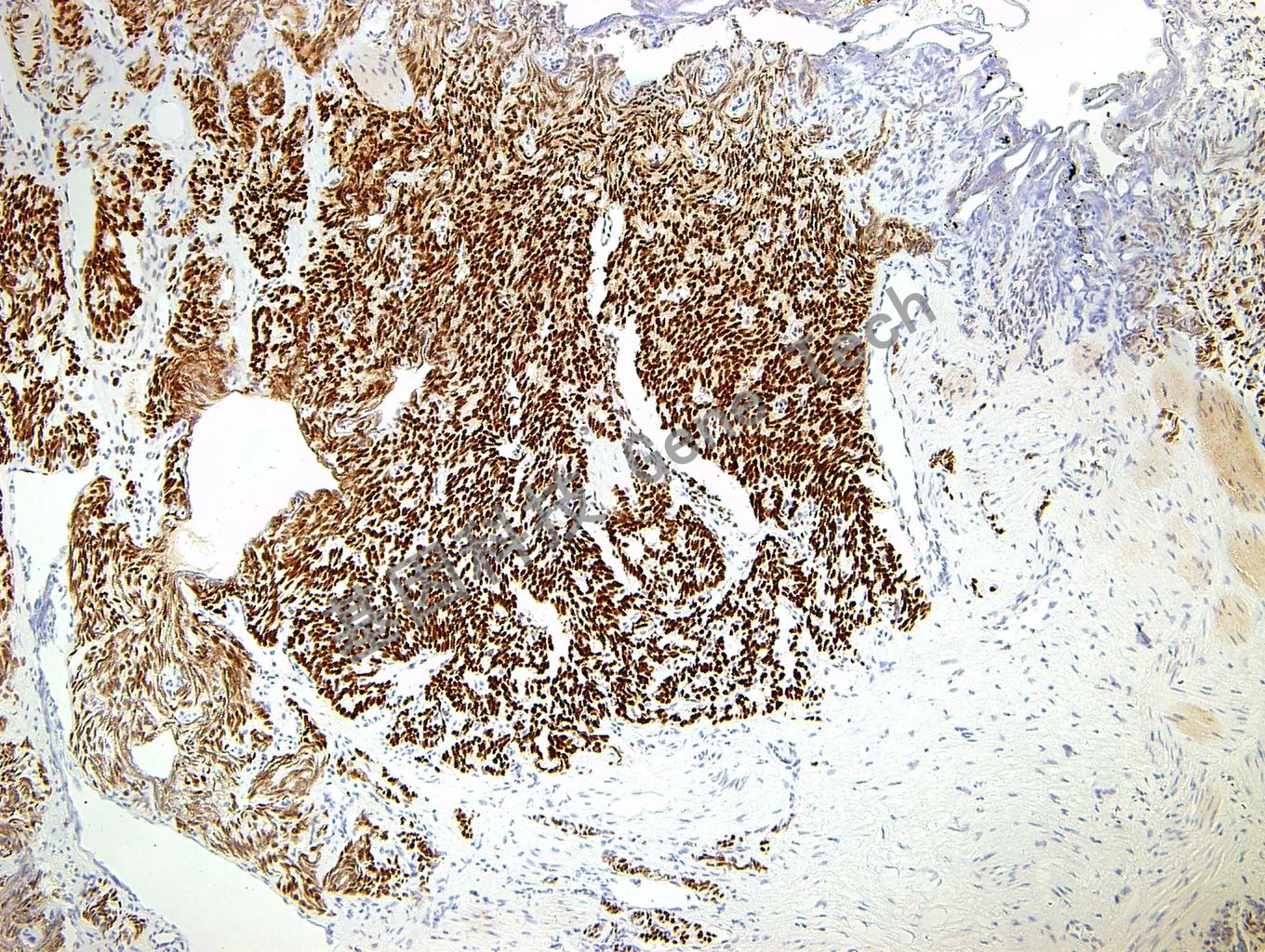 1679989331207000.jpg 1679989331207000.jpg