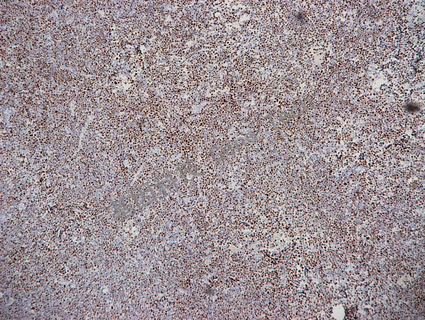 1681177922148010.jpg 1681177922148010.jpg