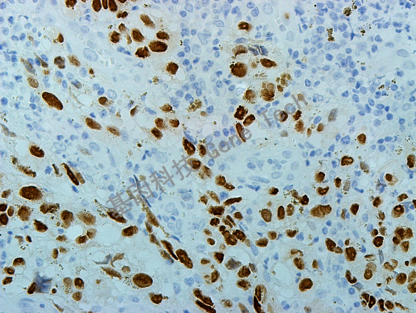 1681179093156728.jpg 1681179093156728.jpg