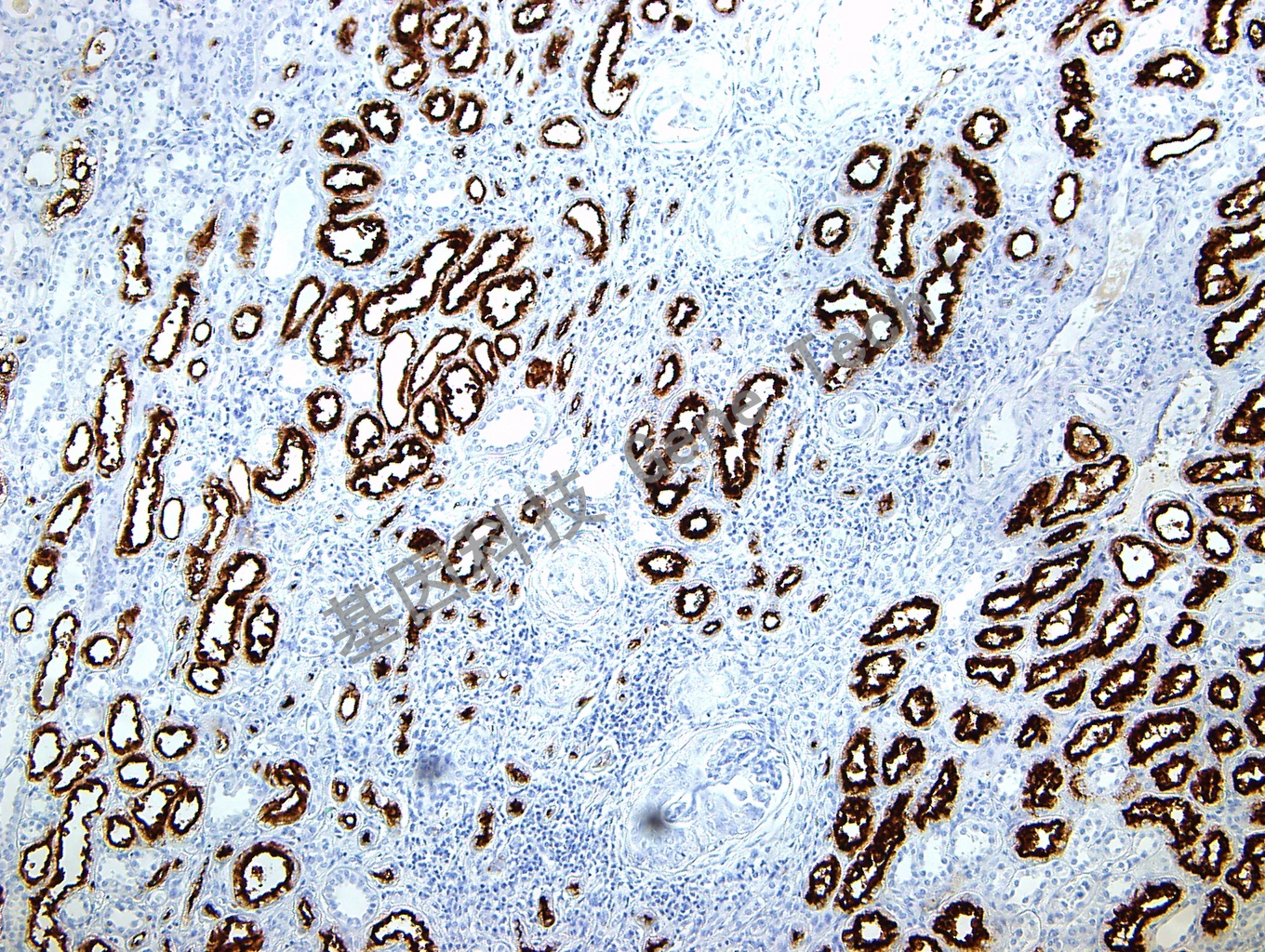 1681203807826259.jpg 1681203807826259.jpg