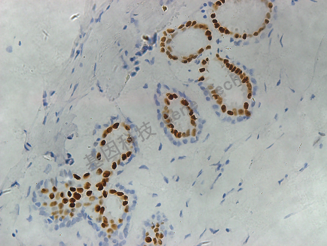 1681883626453086.jpg 1681883626453086.jpg