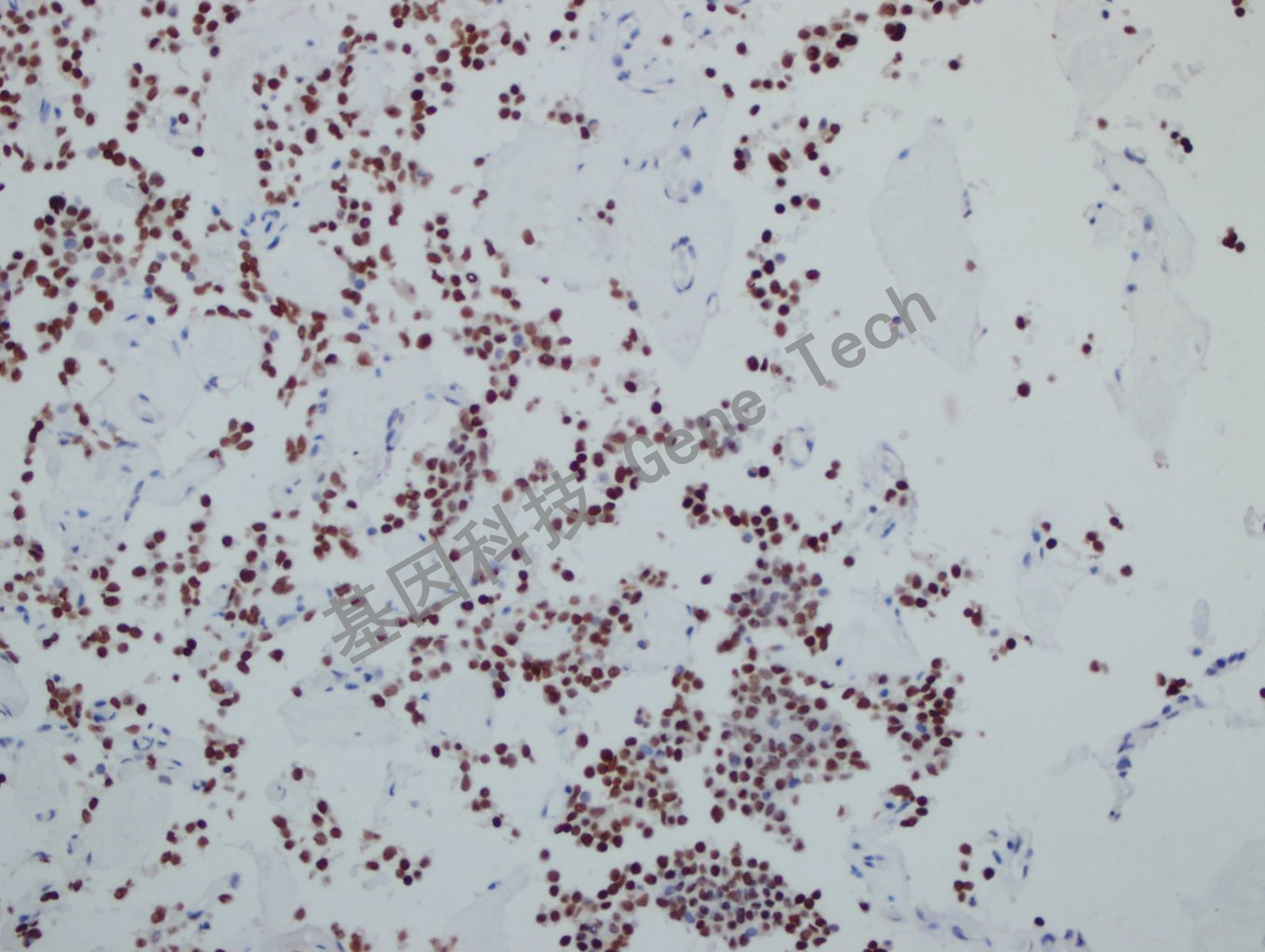 1681975508764357.jpg 1681975508764357.jpg