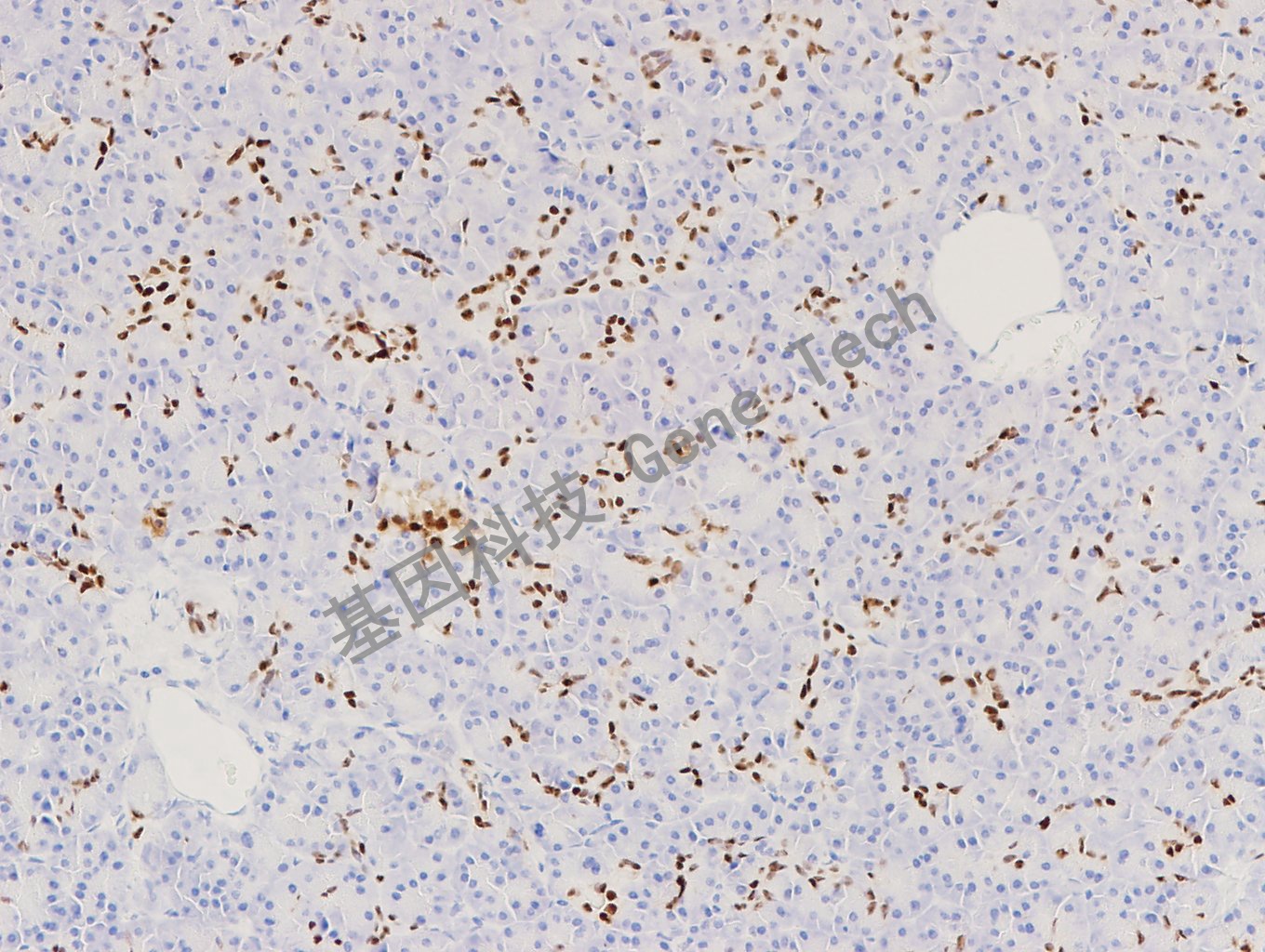 1682656370155136.jpg 1682656370155136.jpg