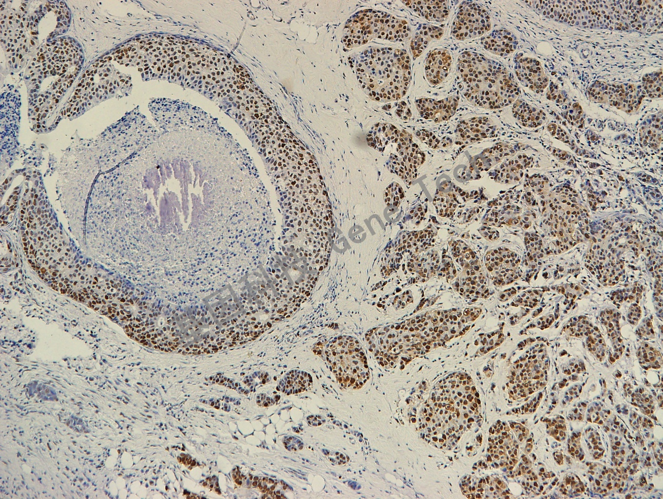 1682663997143960.jpg 1682663997143960.jpg