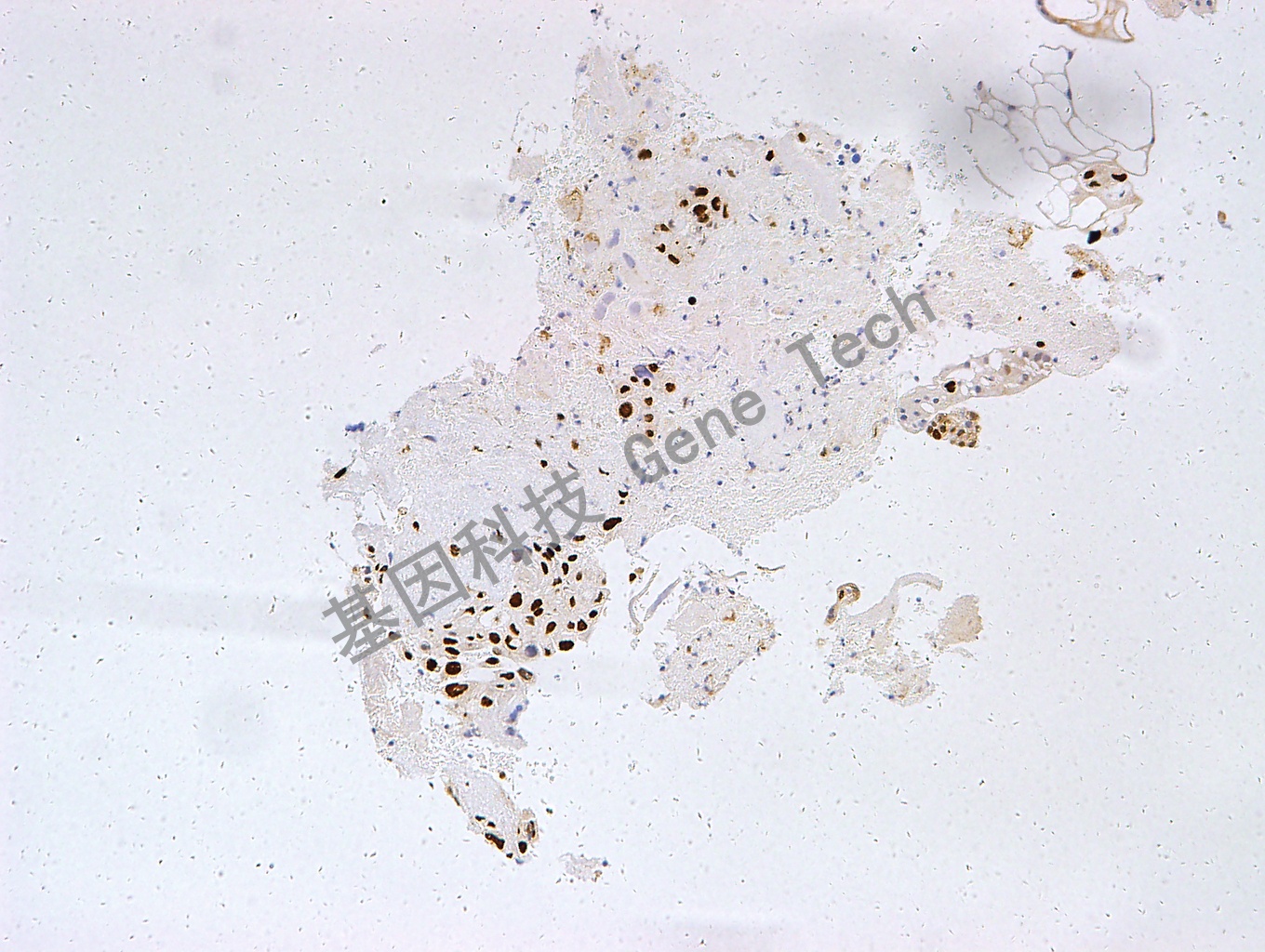 1683271758992852.jpg 1683271758992852.jpg