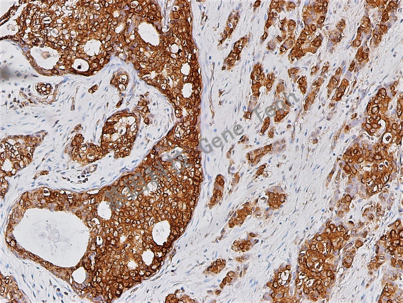 1683445664668500.jpg 1683445664668500.jpg