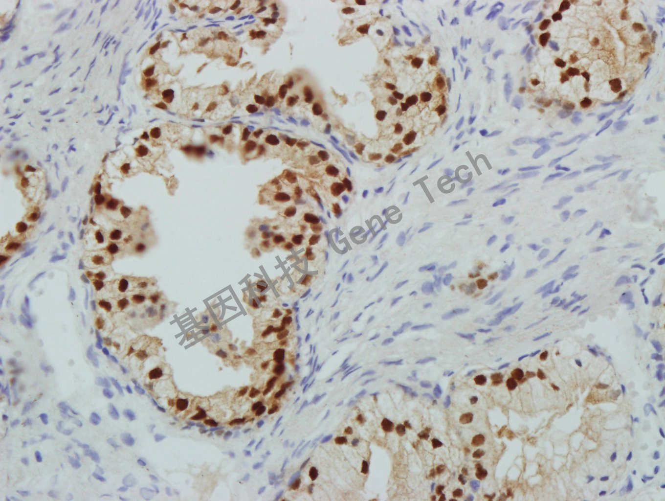 1683446727329872.jpg 1683446727329872.jpg