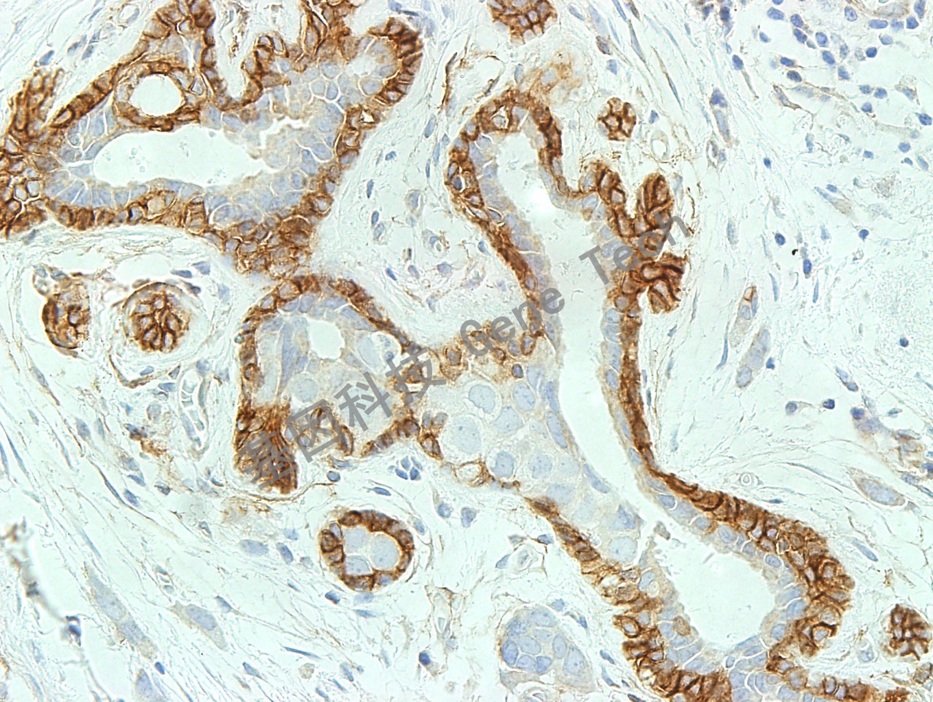 1683450131796455.jpg 1683450131796455.jpg