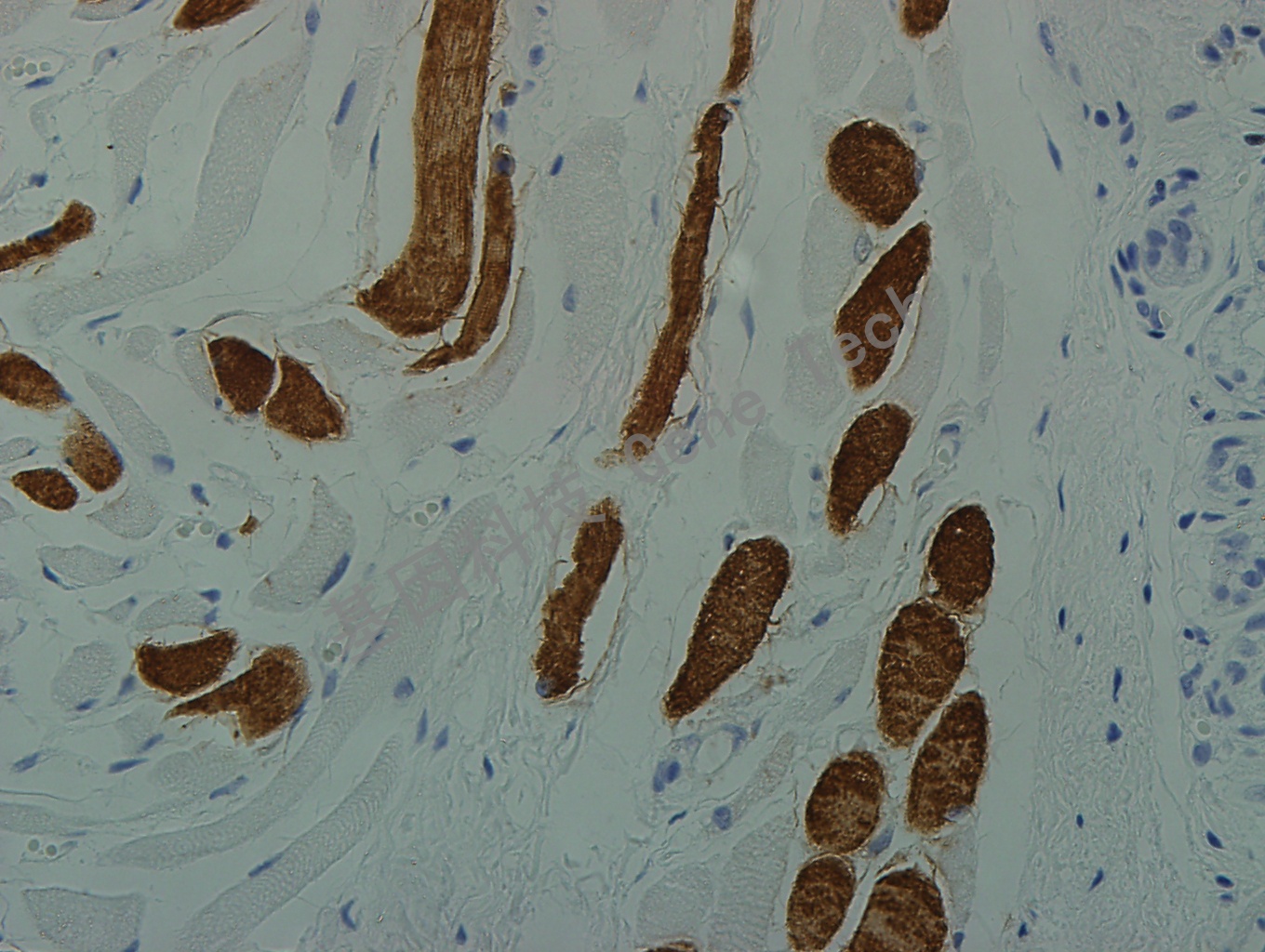 1683507378812121.jpg 1683507378812121.jpg