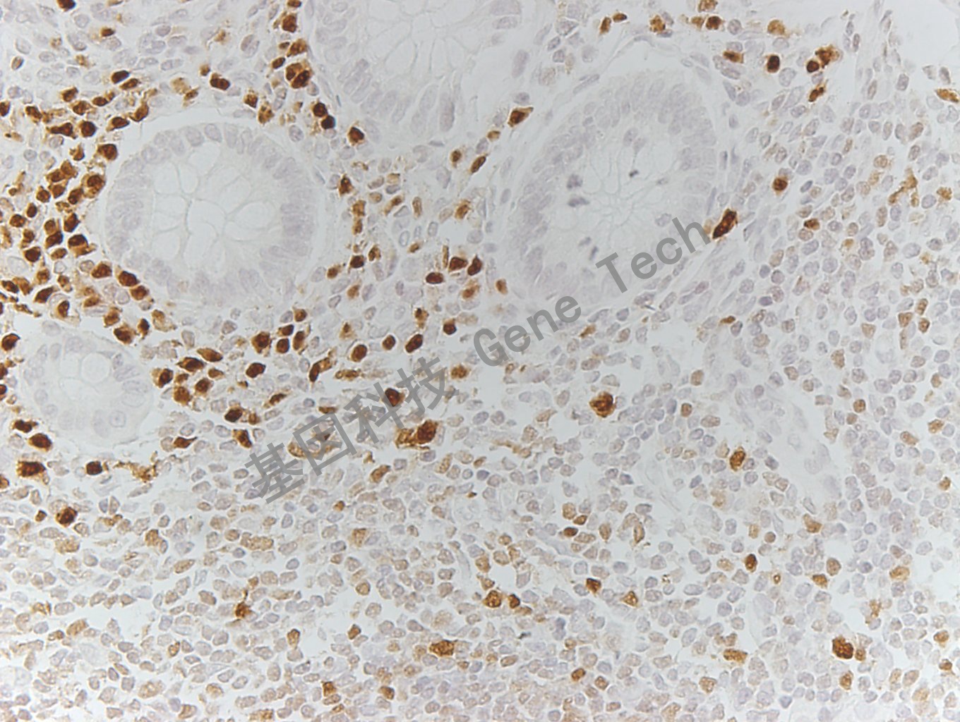 1683521506912724.jpg 1683521506912724.jpg