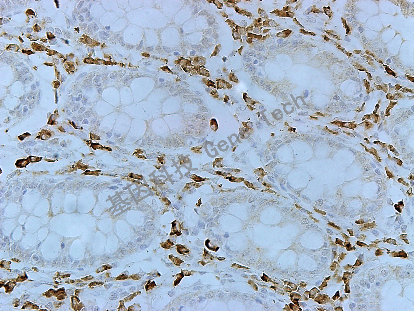 1683522127338651.jpg 1683522127338651.jpg