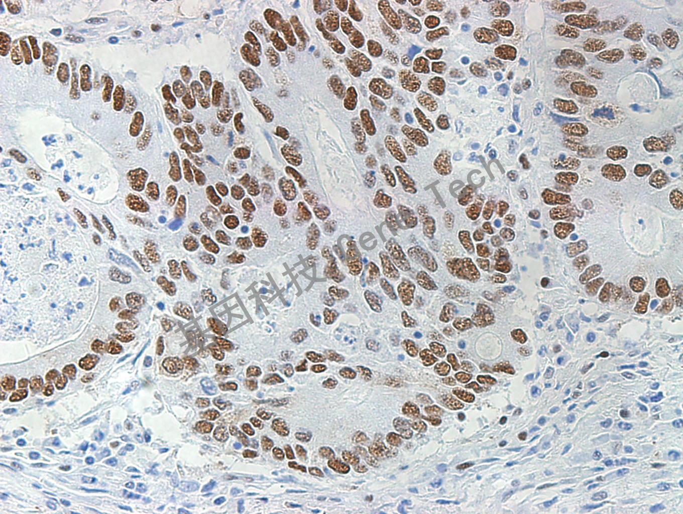 1683530789176468.jpg 1683530789176468.jpg