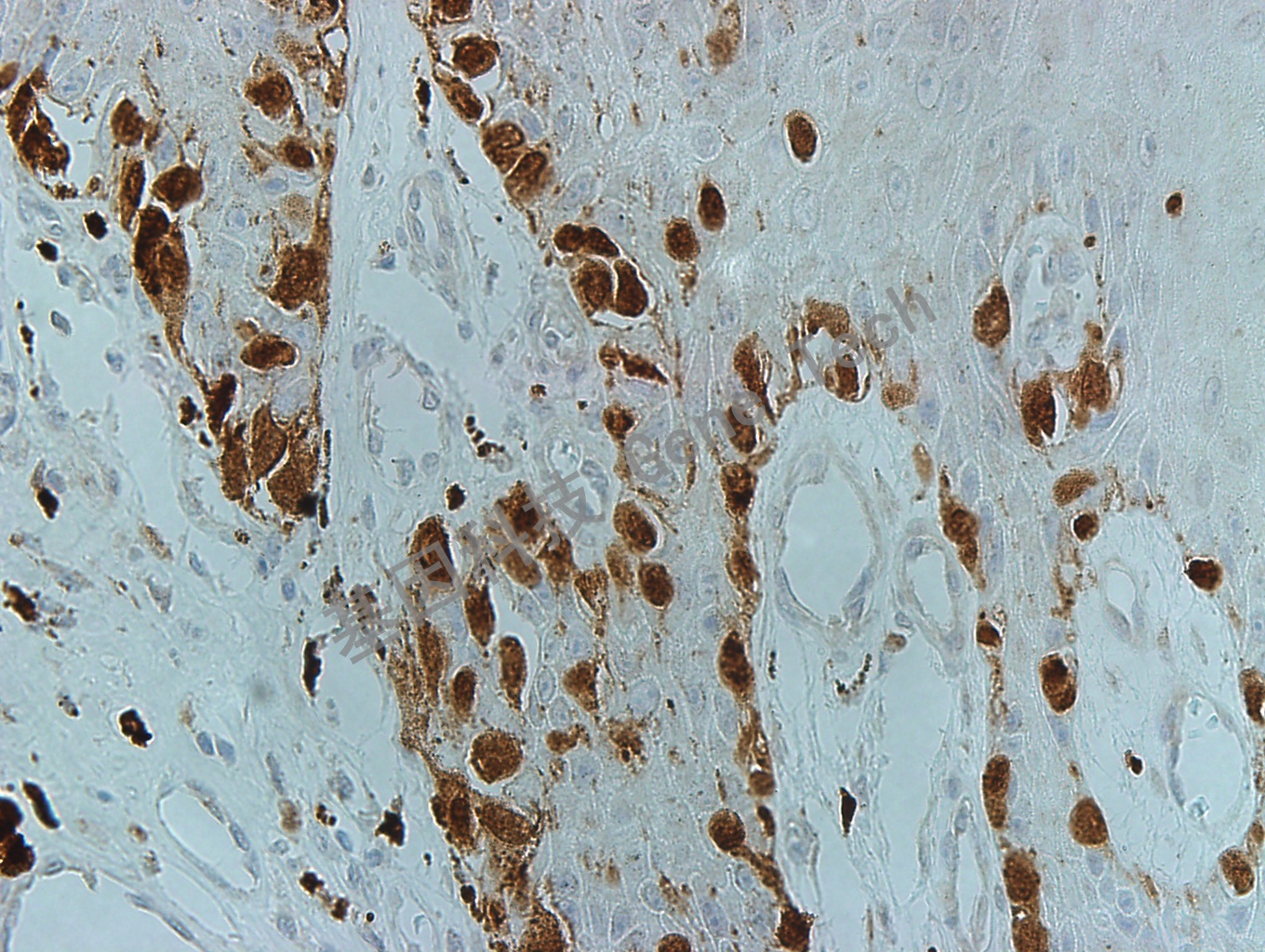 1683687430478764.jpg 1683687430478764.jpg