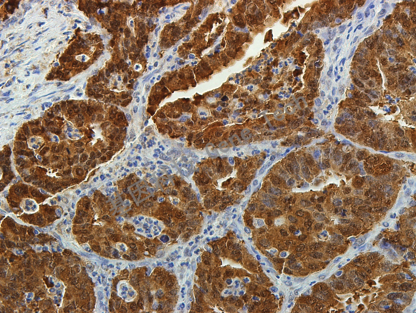 1684226842129999.jpg 1684226842129999.jpg