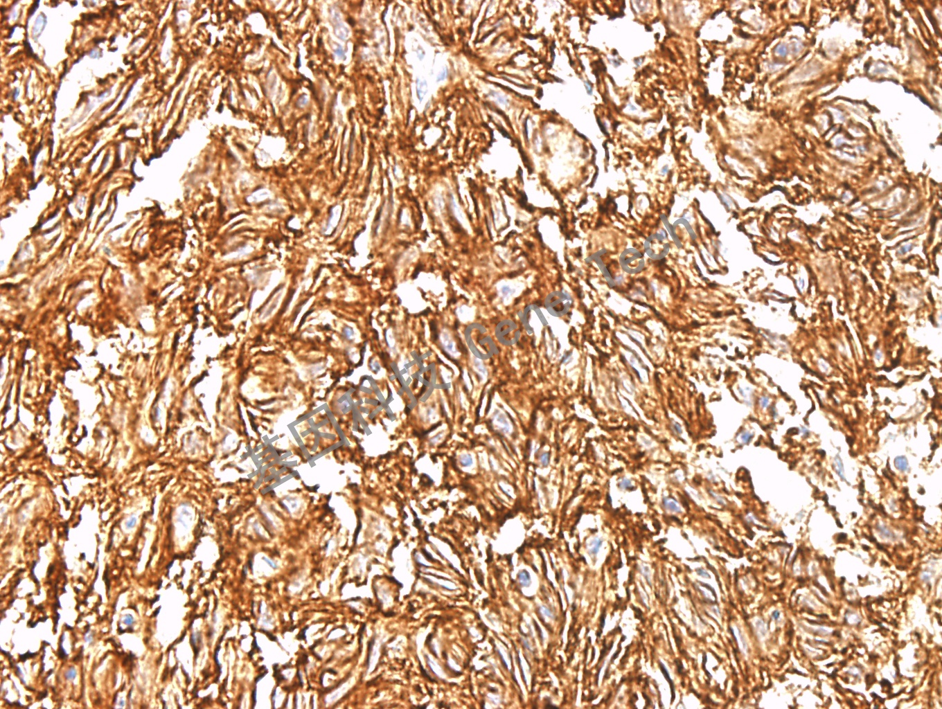 1684658946540597.jpg 1684658946540597.jpg