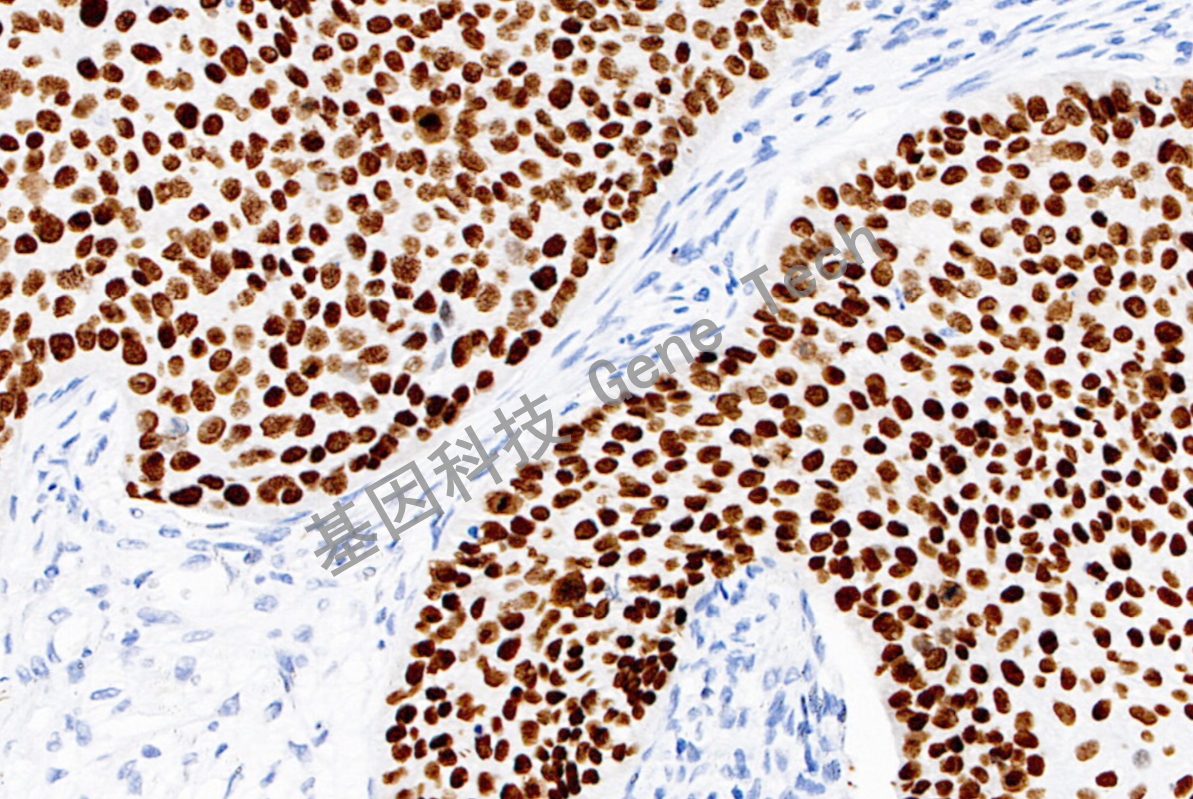 1692766189758789.jpg 1692766189758789.jpg