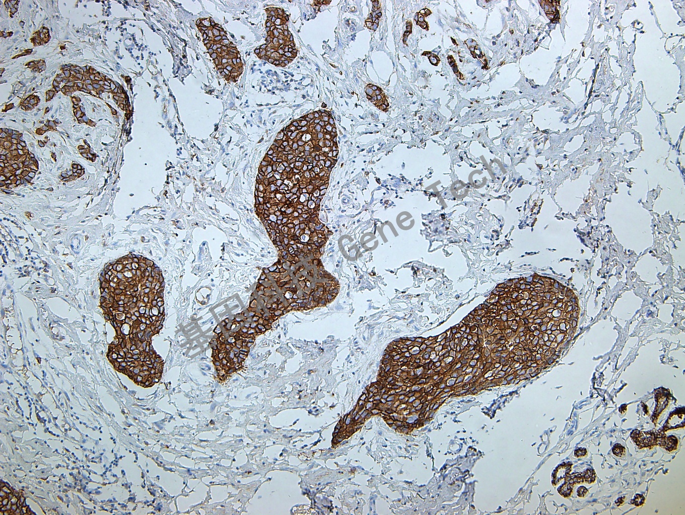 1693197731196793.jpg 1693197731196793.jpg