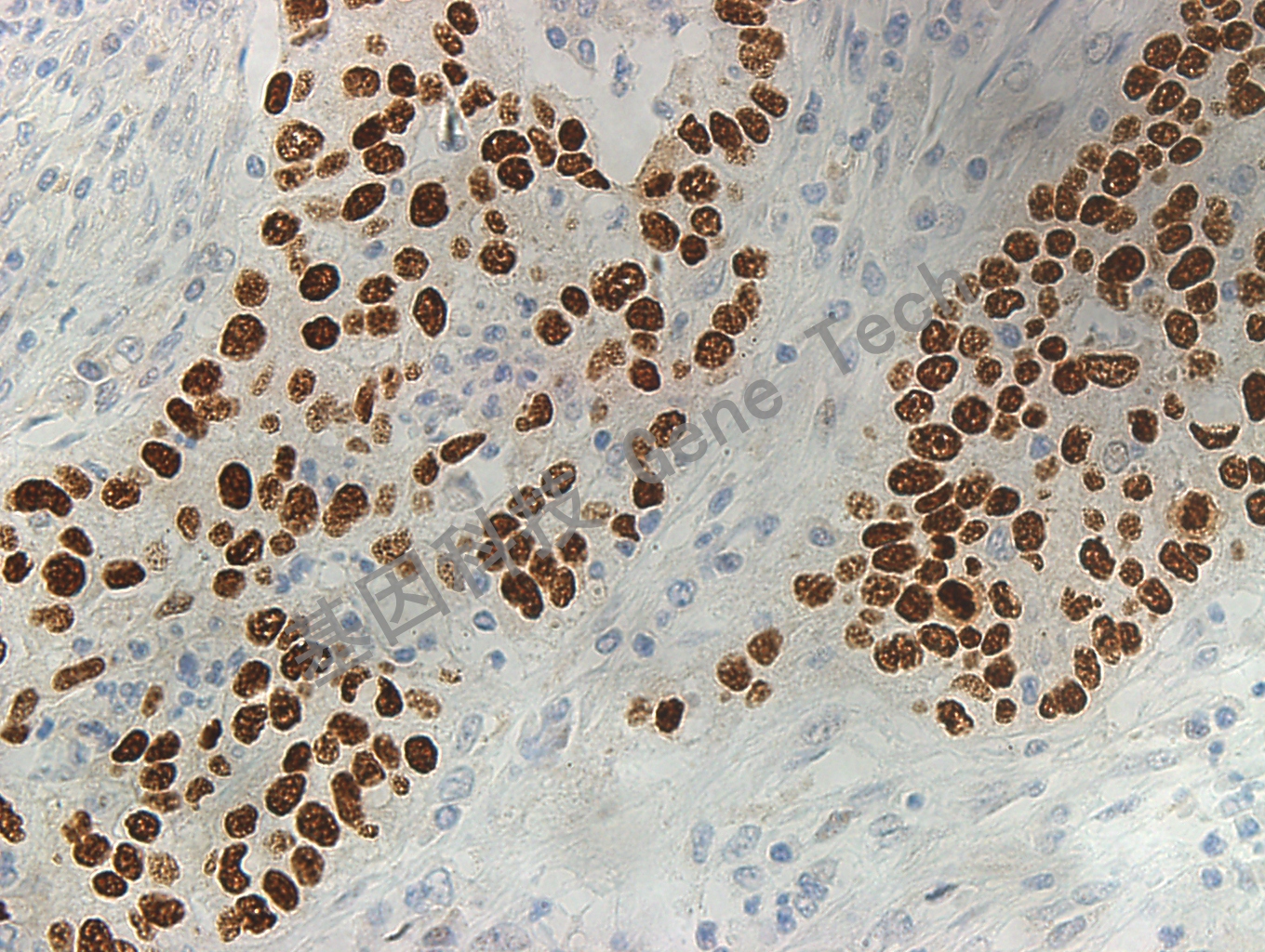 1693201753347228.jpg 1693201753347228.jpg