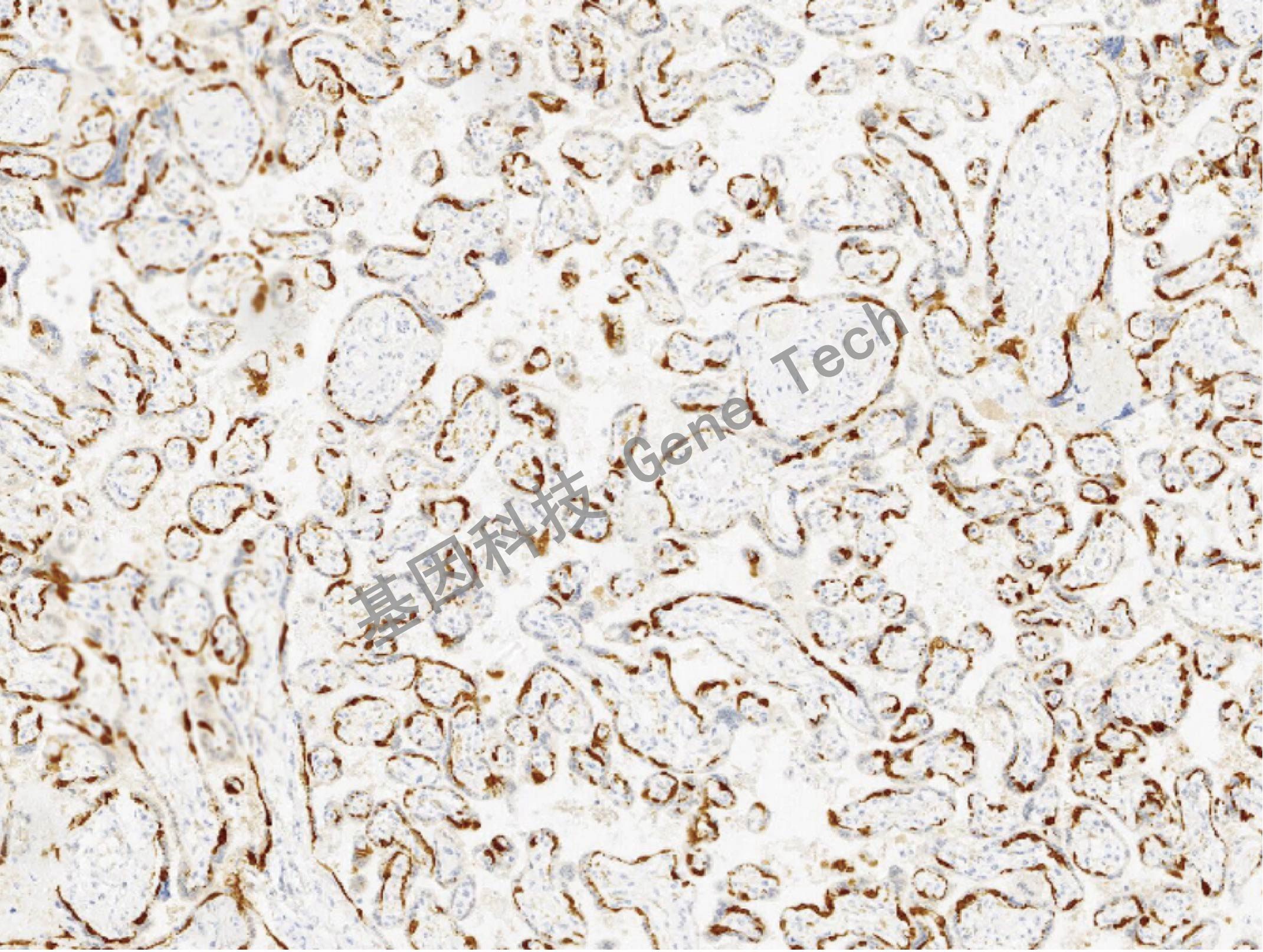 1704770167100259.jpg 1704770167100259.jpg