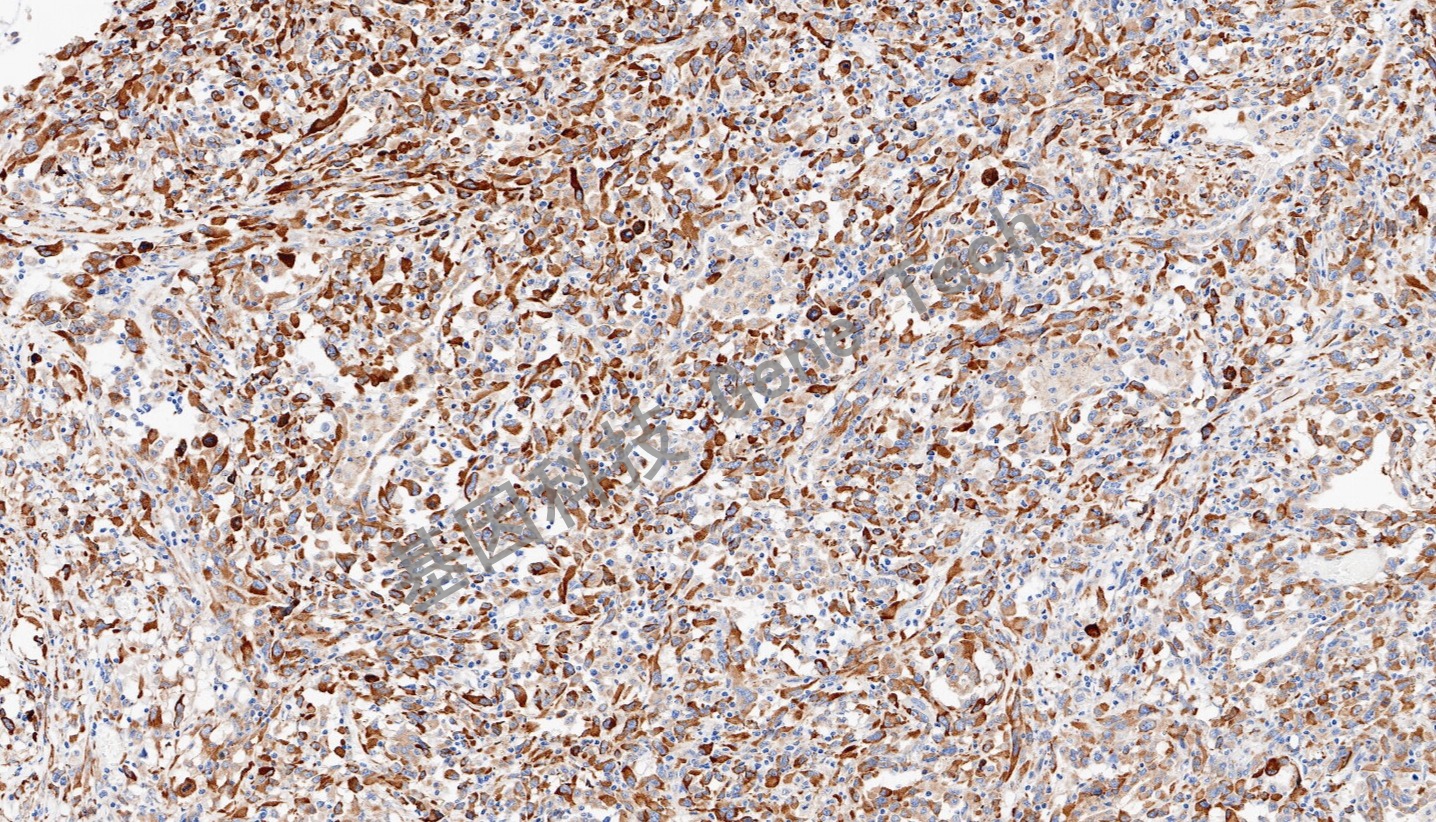 1708487552868375.jpg 1708487552868375.jpg