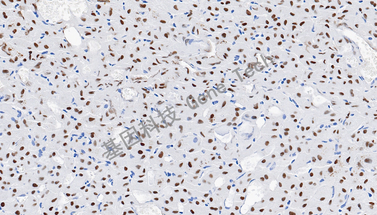 1711972363144171.jpg 1711972363144171.jpg